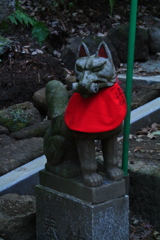 鎌倉 佐助稲荷3