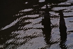 波間の面影…