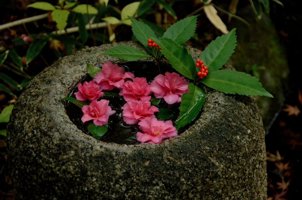 古都の花手水…３