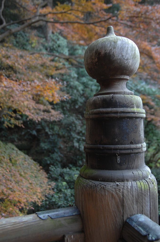 新春の古刹 妙本寺…２