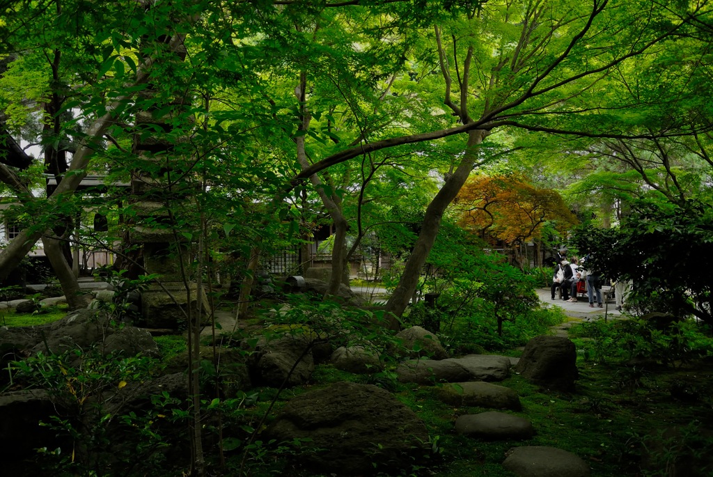 緑園の古寺…２