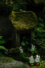 緑中の稲荷…３
