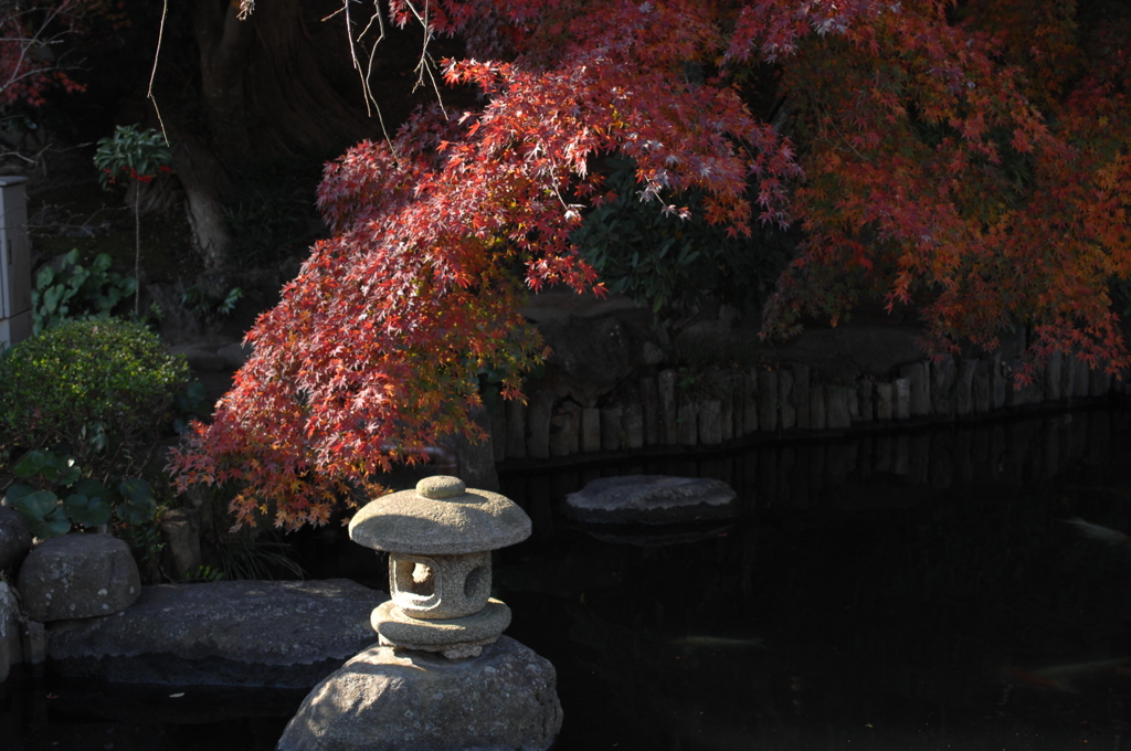 名刹の紅景色…