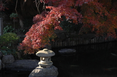 名刹の紅景色…