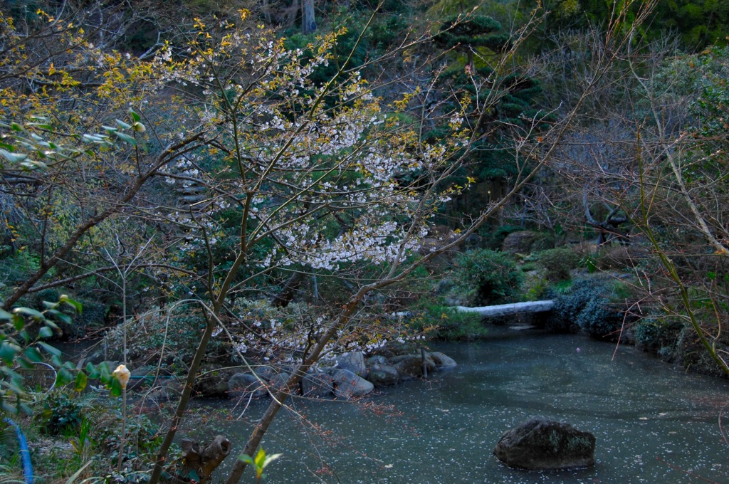 静寂の池…２