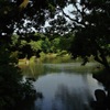 六義園・大泉水３…