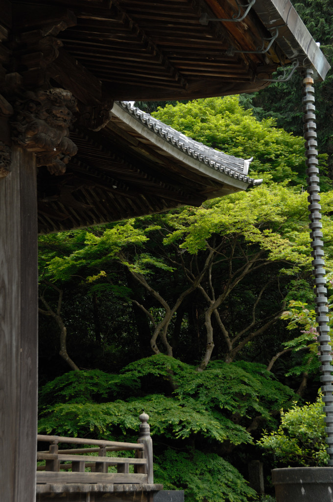 古刹の春景…３