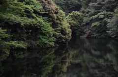 静寂の緑湖…