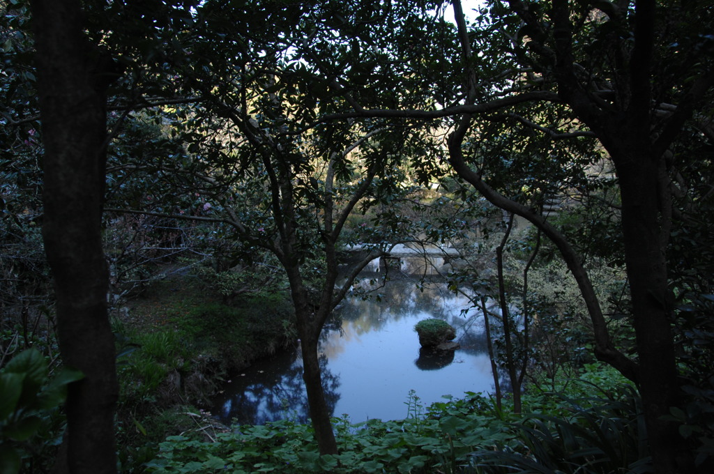 静寂の池…１