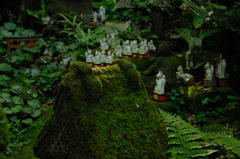 緑中の稲荷…２