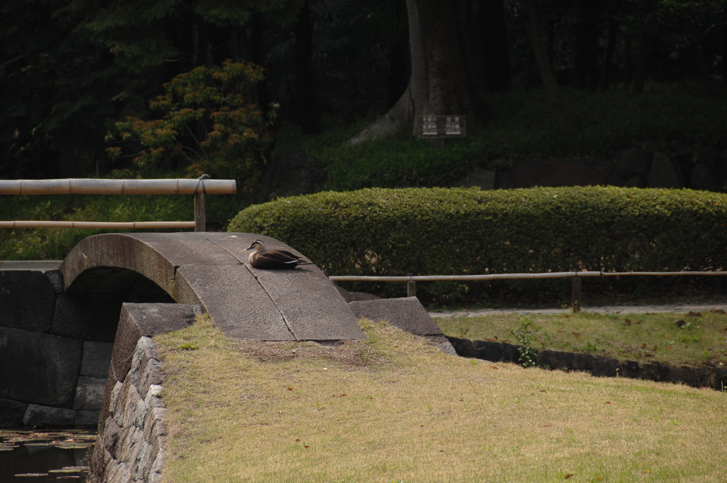 寛永の造形美…