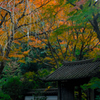 禅寺の錦屏風…１