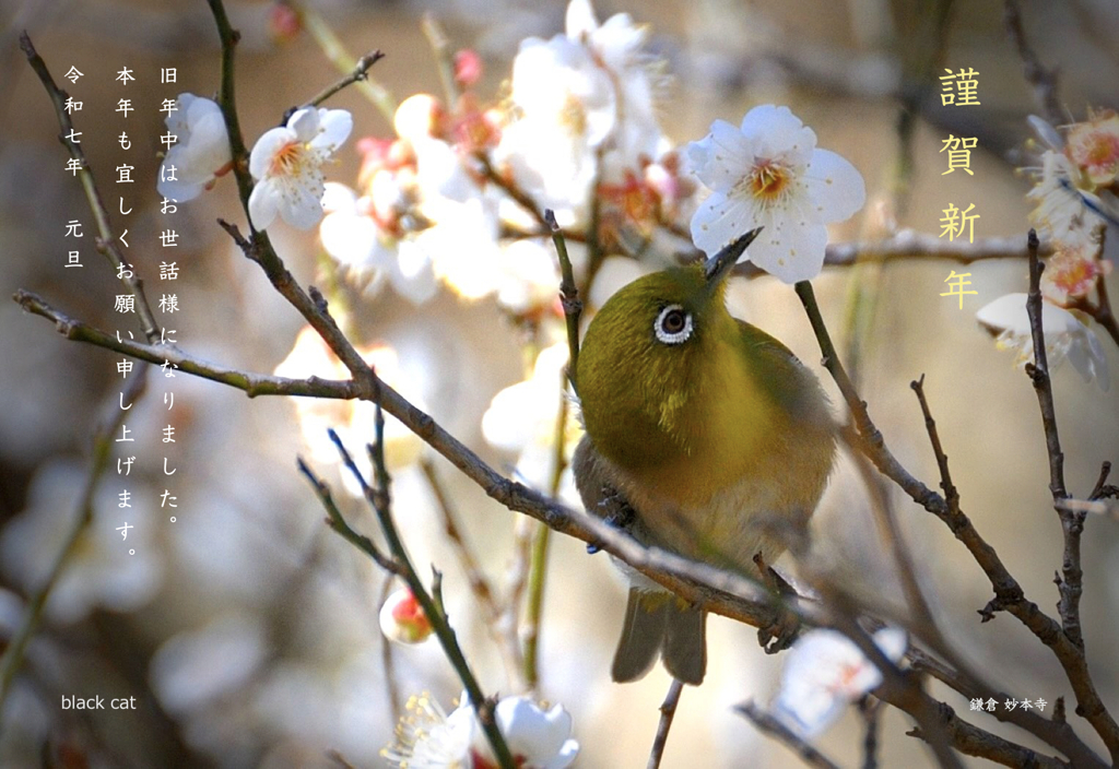 新年のご挨拶…