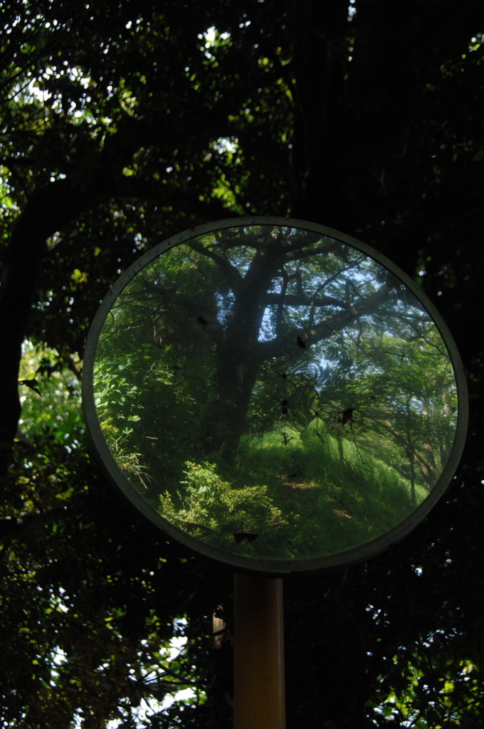 歪んだ緑景…１