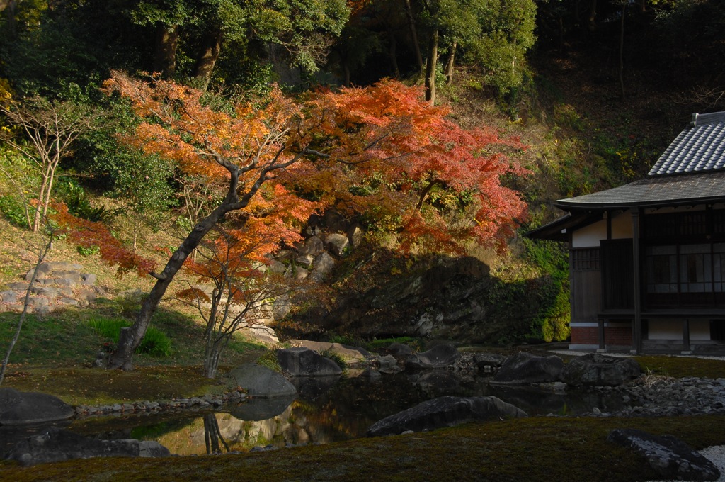 円覚寺の秋模様…３