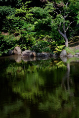 旧古河庭園・心字池…