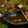 古都の花手水…６