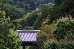 鎌倉 浄妙寺・山門…
