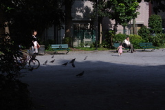 公園の日溜まり…