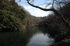 春、静寂の鎌倉湖…１