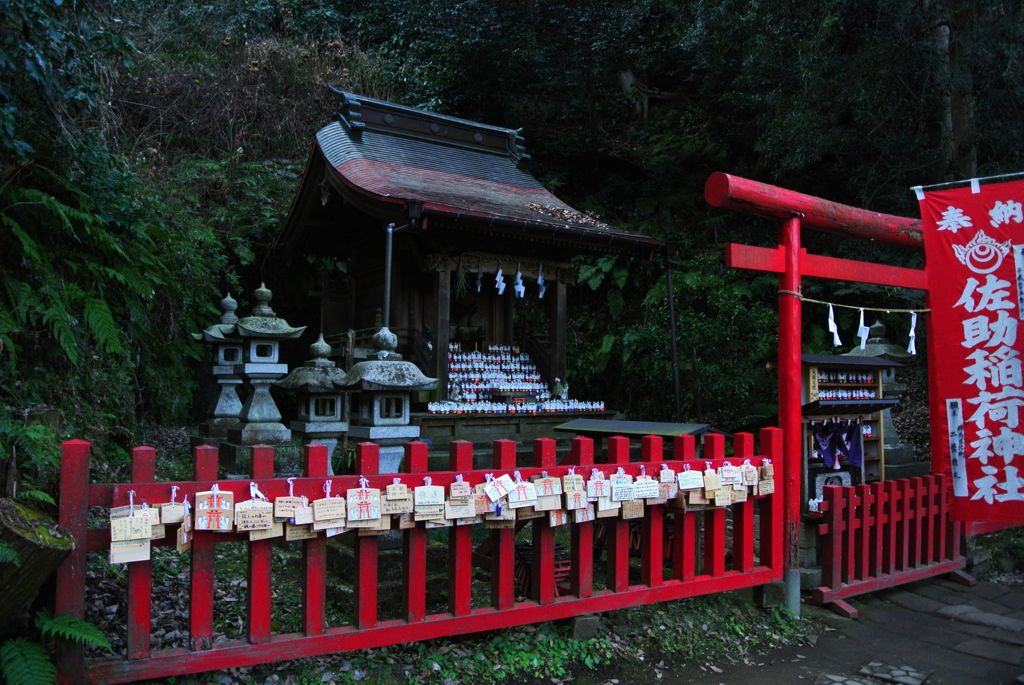 鎌倉 佐助稲荷４