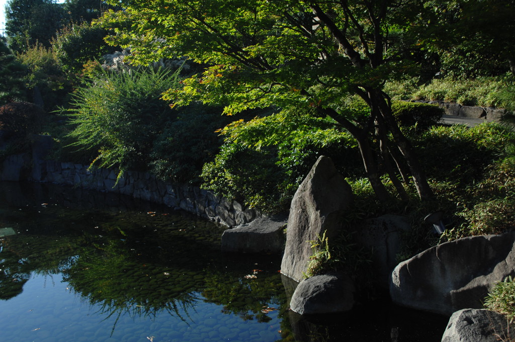 目白庭園・秋日和３…
