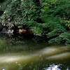 六義園・大泉水２…