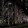 東京ビル街の夜景…