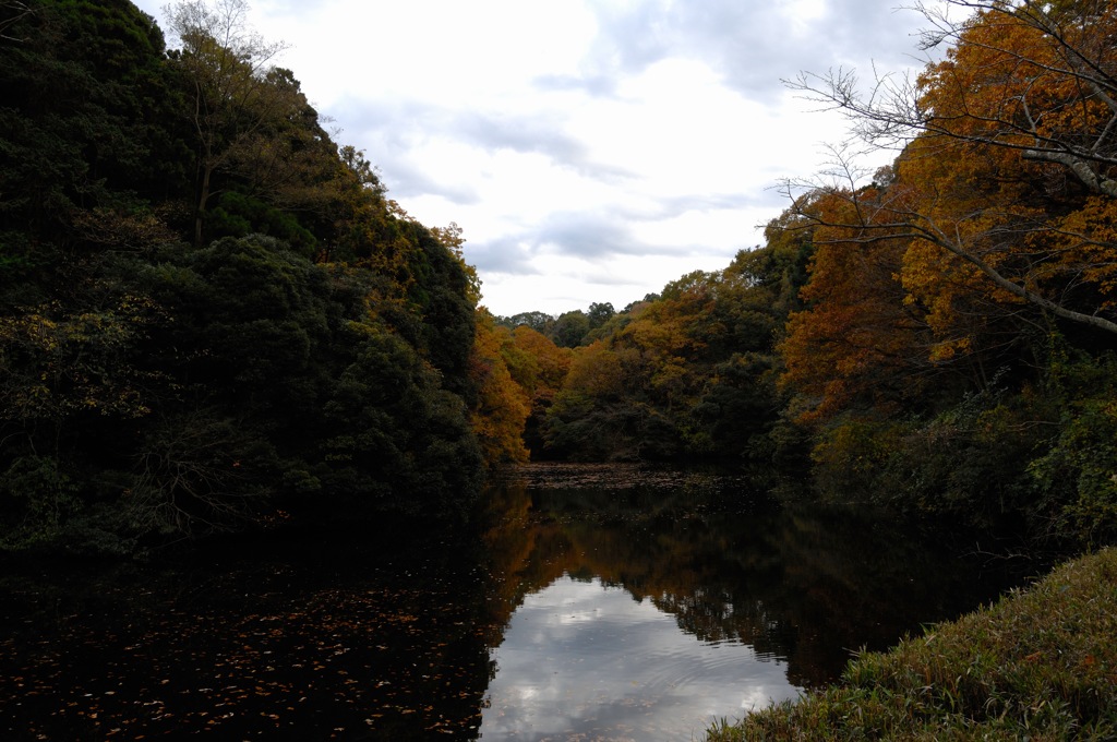 秋景の鎌倉湖…１