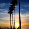sunset and lovers