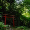 深緑に佇む名刹…２