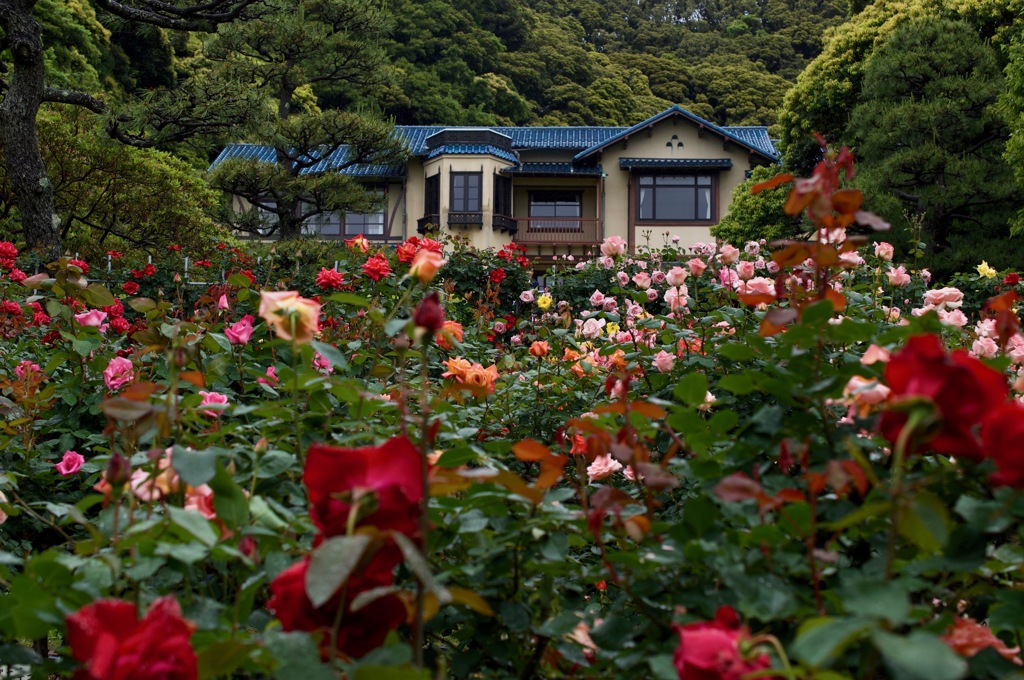 今春の花園…１