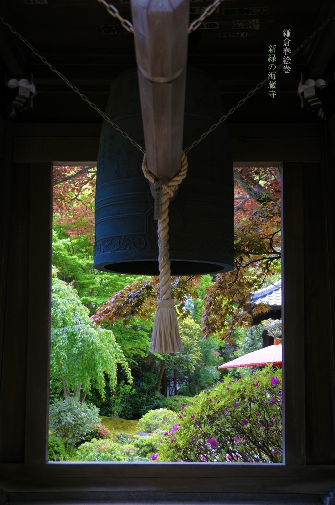 鎌倉春絵巻…海蔵寺