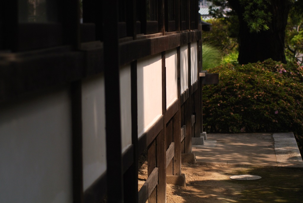 安養院・白壁の明暗…