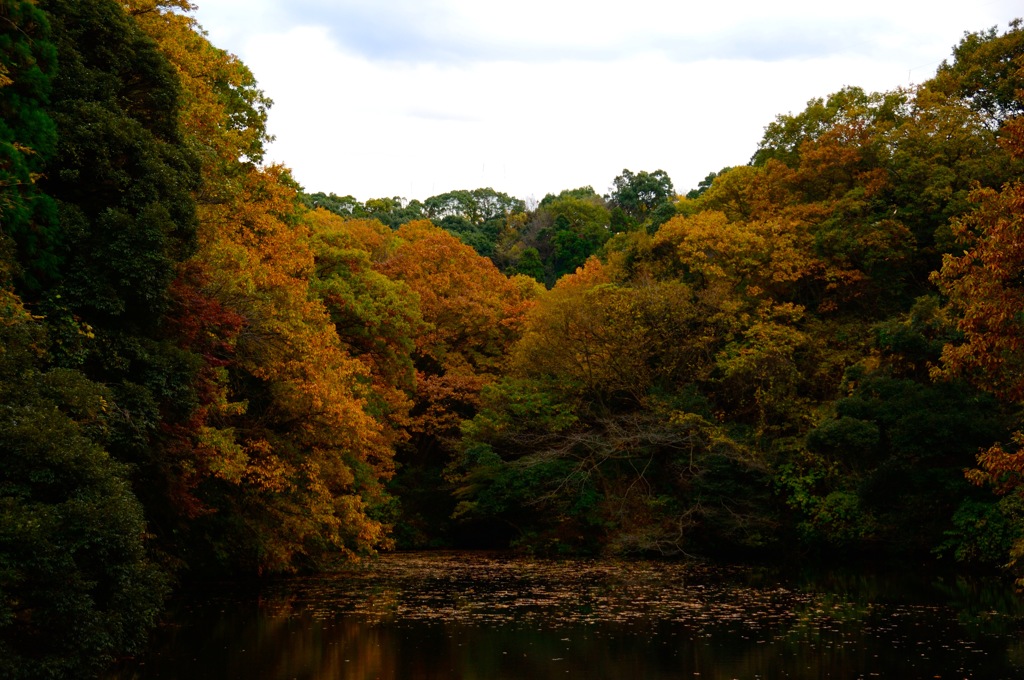 秋景の鎌倉湖…２