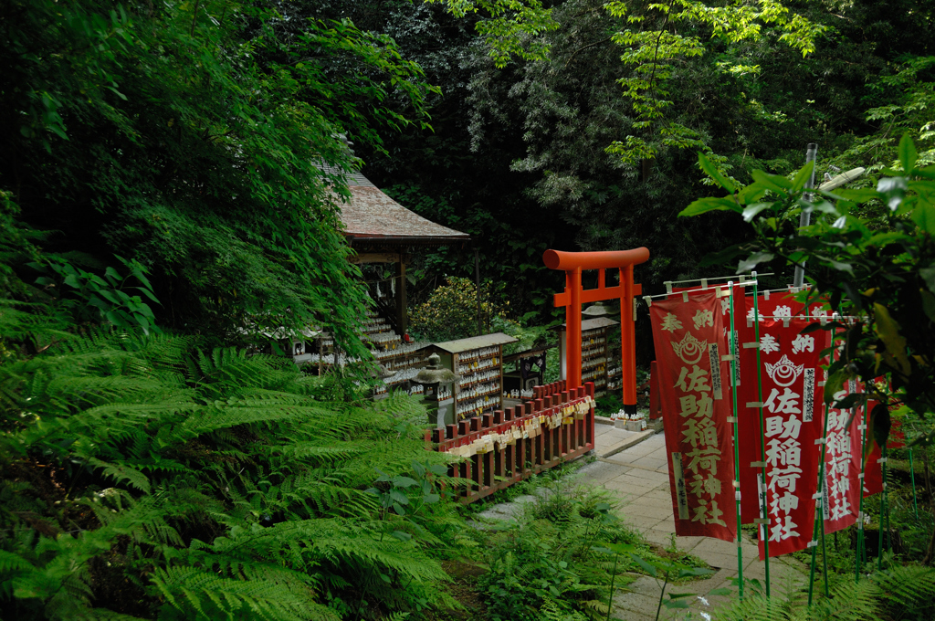緑中の稲荷…１