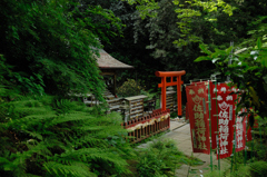 緑中の稲荷…１