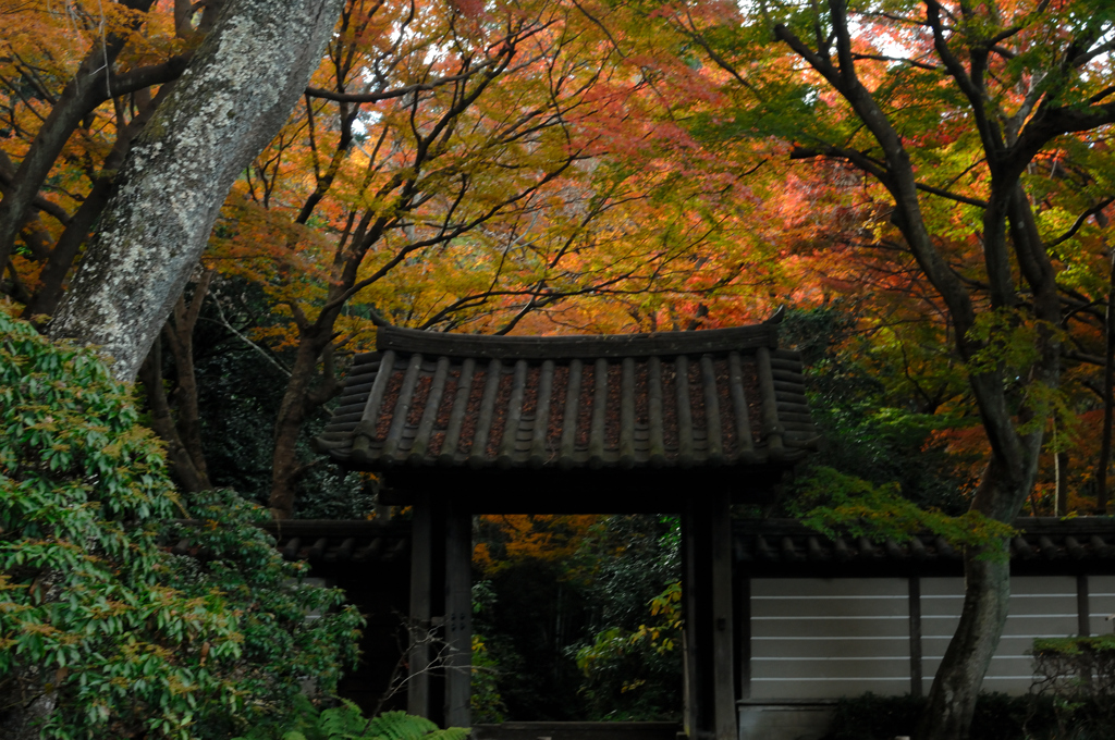 禅寺の錦屏風…２