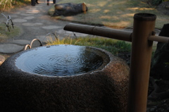 清澄庭園・水鉢の空…