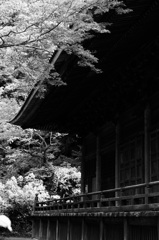 積歴の風格…１