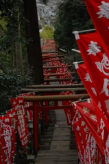 鎌倉の赤鳥居…１