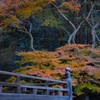 初冬の紅景…１