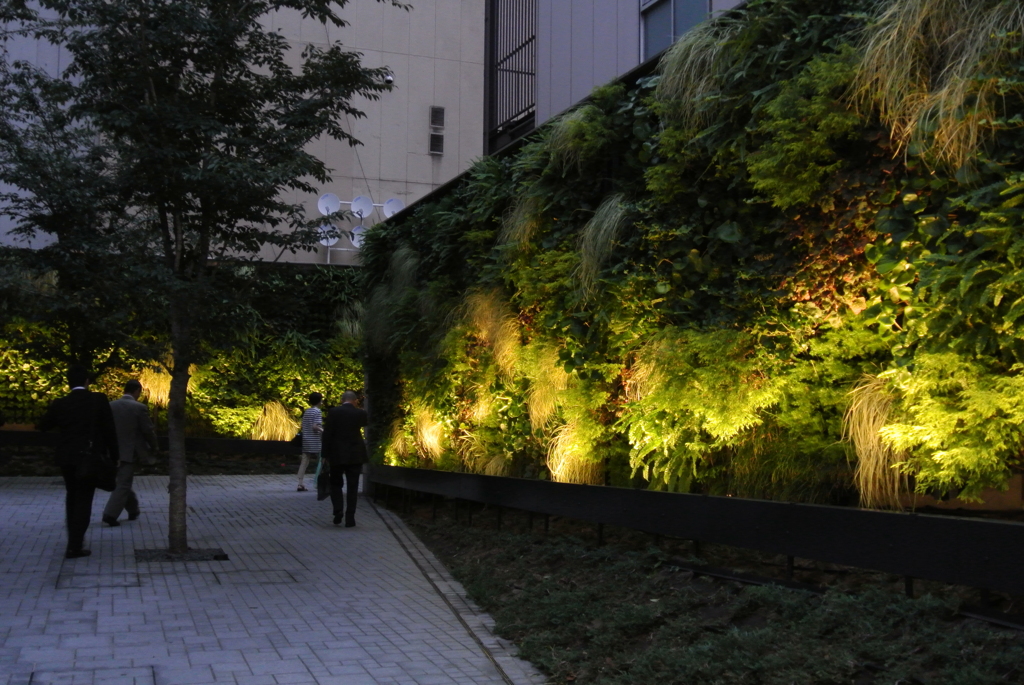 緑壁の有る風景１…