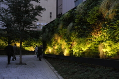 緑壁の有る風景１…