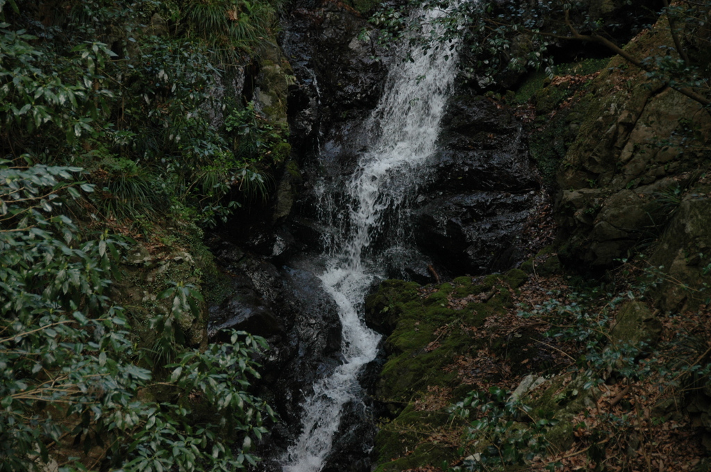 20140409_茅倉の滝2