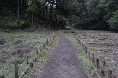 天覧山から多峯主山へ