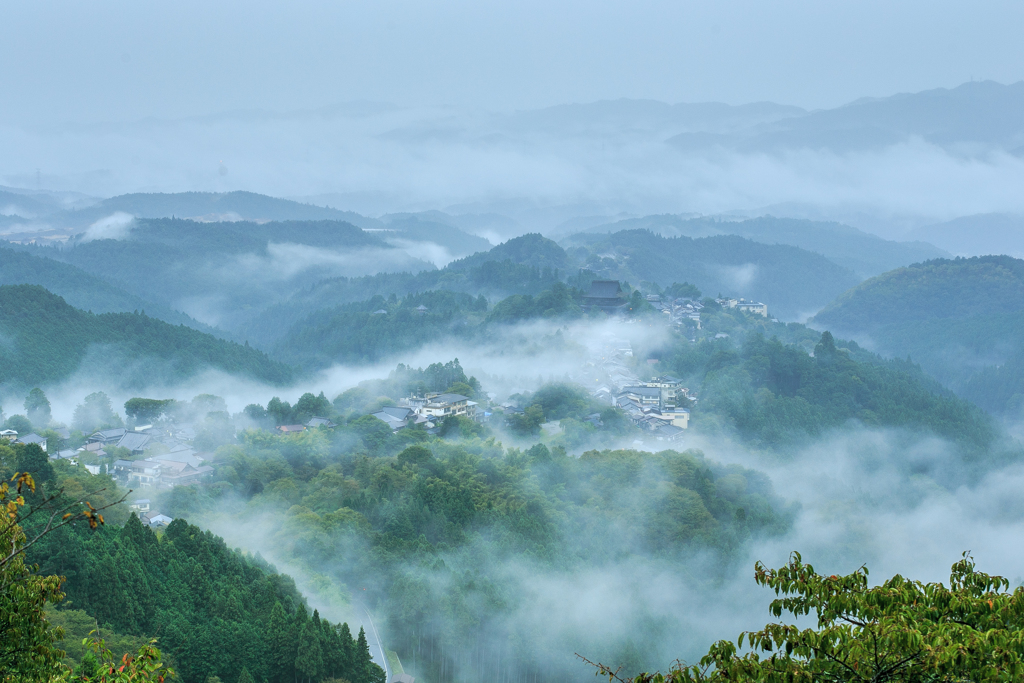 雨が似合う