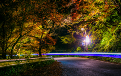 地上の流星と紅葉