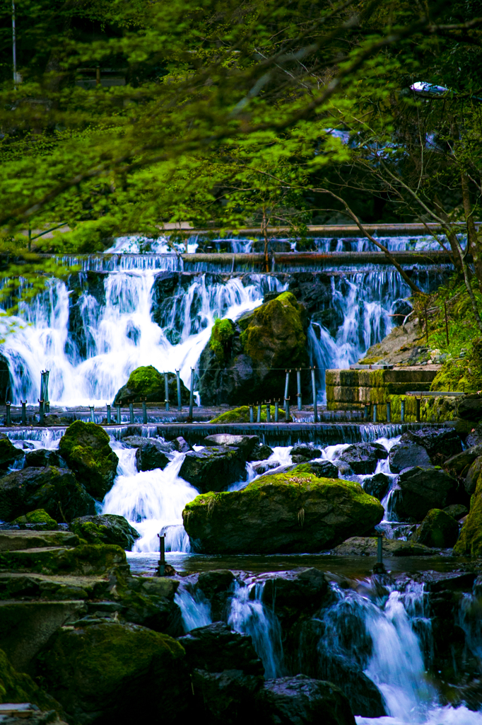 貴船の川にて