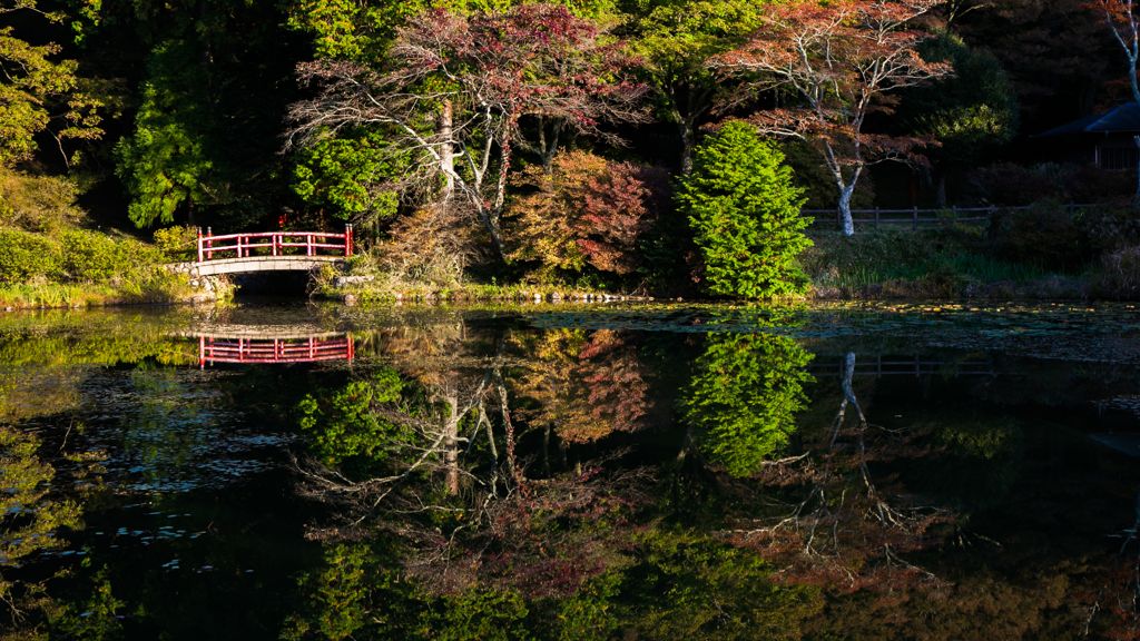 鳥見山公園池回りにて